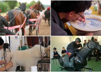 Portes-ouvertes sur les formations : des métiers originaux pour les jeunes… et pour les moins jeunes aussi