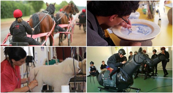 Portes-ouvertes sur les formations : des métiers originaux pour les jeunes… et pour les moins jeunes aussi