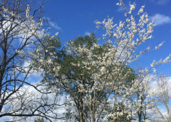 Marseillais, prenez le bon air en Ardèche ! 