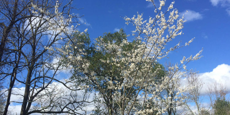 Marseillais, prenez le bon air en Ardèche !