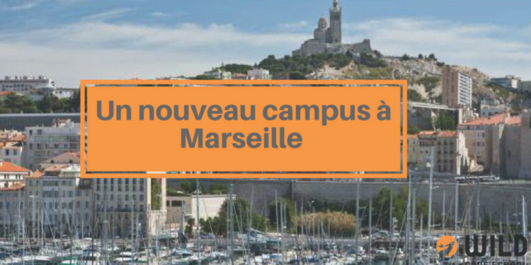 La Wild Code School, une nouvelle école du code à Marseille