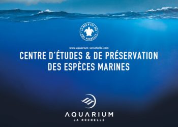 L’Agence S & Saguez refond l’identité de l’Aquarium de la Rochelle et accompagne de belles maisons du Sud