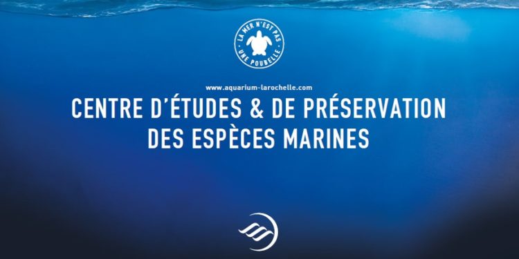 L’Agence S & Saguez refond l’identité de l’Aquarium de la Rochelle et accompagne de belles maisons du Sud