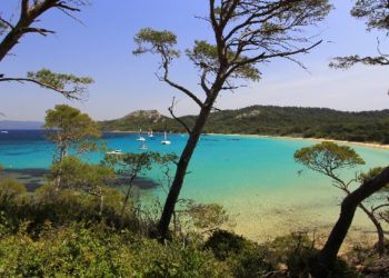 La CCI du Var lance le « Tourisme Day Pro » au Castellet