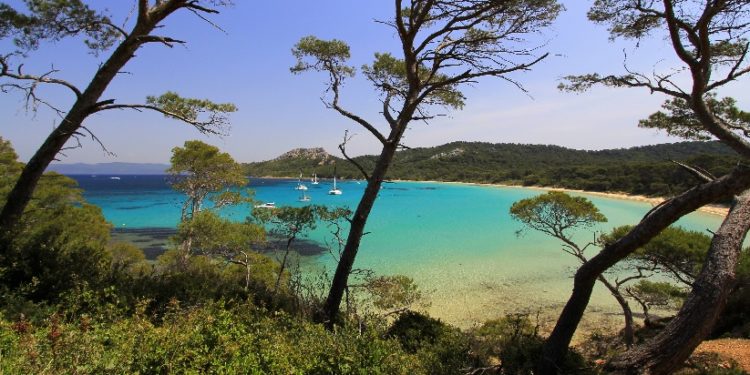 La CCI du Var lance le « Tourisme Day Pro » au Castellet