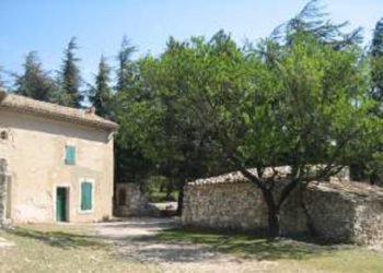 Le Petit Olivier s’engage auprès de l’ONF pour la réhabilitation du Traou dou Gari dans le Luberon