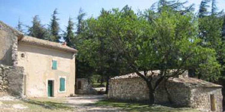 Le Petit Olivier s’engage auprès de l’ONF pour la réhabilitation du Traou dou Gari dans le Luberon