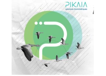 Icom crée Pikaia, filiale dédiée à la transformation durable des organisations