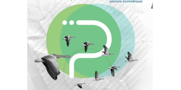 Icom crée Pikaia, filiale dédiée à la transformation durable des organisations