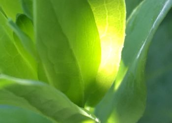 Développement durable : des agences et des clients pas comme les autres ?