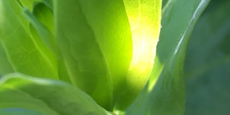 Développement durable : des agences et des clients pas comme les autres ?