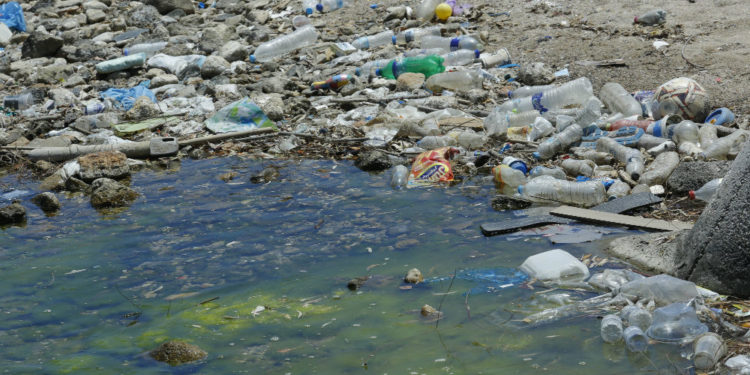 La Méditerranée, bientôt une « mer de plastique » ?