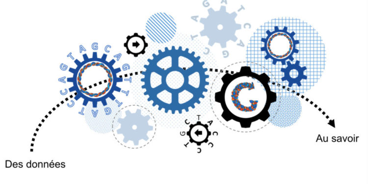 Accord entre la Satt et Genomnis (Marseille) dans l’IA appliquée à la génétique