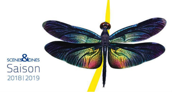 La saison culturelle de Scènes & Cinés : des spectacles « à l’écoute du monde »
