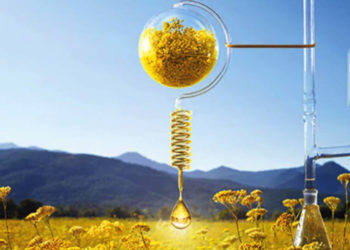 BPIfrance et L’Occitane investissent dans le fonds pour la santé digitale CapDecisif 4