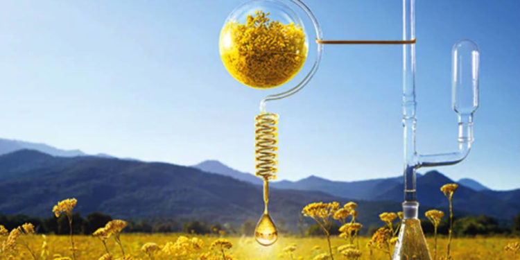 BPIfrance et L’Occitane investissent dans le fonds pour la santé digitale CapDecisif 4