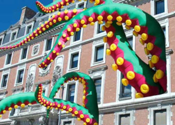 Le poulpe mis a l’honneur pour le Marseille Octopus Worldwide