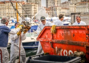 Nettoyage du Vieux-Port : la bonne pêche de la FSN 13