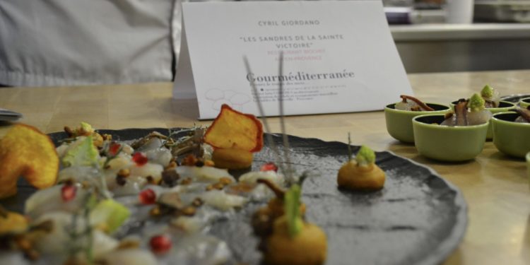 En balade dans les sous-bois avec les chefs provençaux