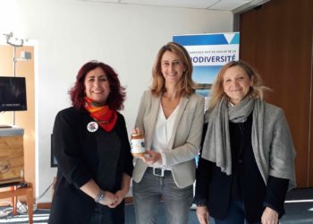 La Société des eaux de Marseille offre aux Restos du cœur du miel de ses ruches urbaines