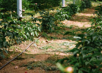 Quatre start-up d'Aix-Marseille parmi les 20 entreprises nationales « green tech »