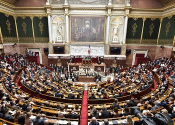 Biocarburant : les députés entérinent la taxe sur l’huile de palme