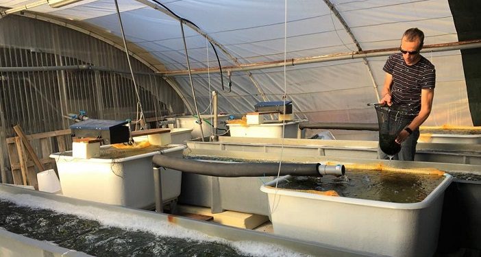 Le projet de ferme aquacole de l’Institut Paul Ricard se fera, à l’Estaque ou ailleurs