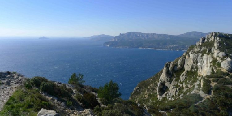 Le Congrès mondial de la Nature attendu à Marseille en 2020