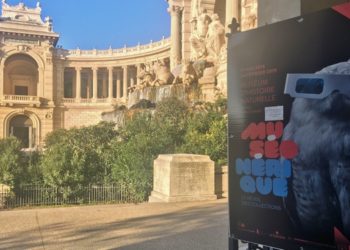 Muséonérique, le réveil des collections du Muséum d’histoire naturelle orchestré par la Fabulerie