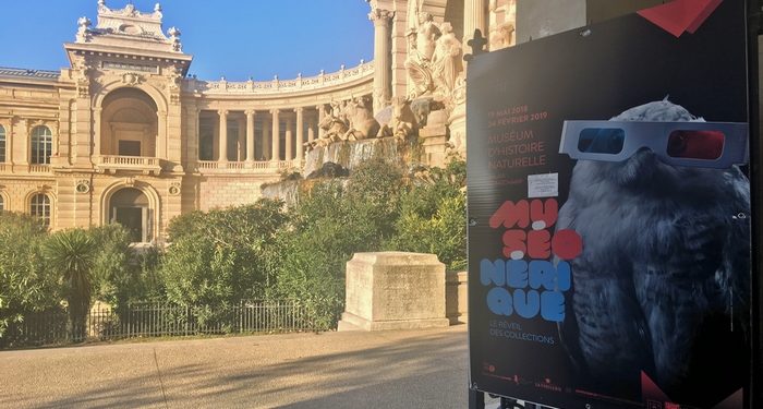 Muséonérique, le réveil des collections du Muséum d’histoire naturelle orchestré par la Fabulerie