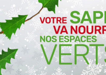 Mon beau sapin, de retour à la terre