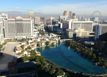 Go to CES 2019 : Connected Garden, Eddo.drop et Lum&rsquo;in à l&rsquo;assaut de Las Vegas (3/3)