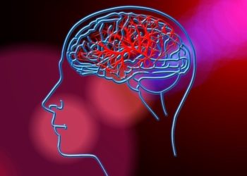 [Gomet' Santé] Les chercheurs marseillais développent un hydrogel pour réparer le cerveau