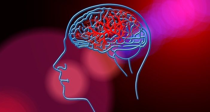 [Gomet' Santé] Les chercheurs marseillais développent un hydrogel pour réparer le cerveau