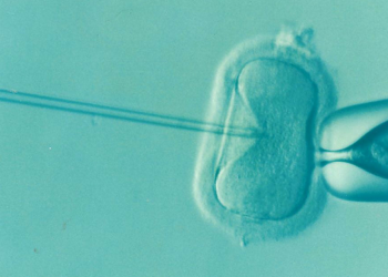 La technologie de selection des embryons pour la FIV est née d'un partenariat entre les chercheurs et méedecins de Marseille, Nîmes et Montpellier