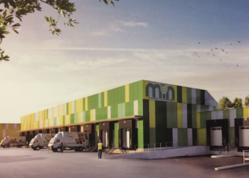 Le MIN aura dès cet été un nouveau pôle logistique de 5 000 m2 dédié à la livraison urbaine de produits frais (Crédit Somimar)