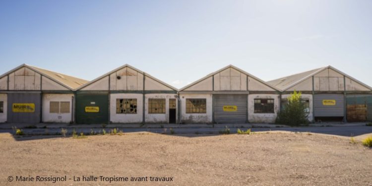 La Halle Tropisme ouvre ses portes à Montpellier