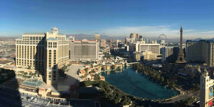 Back to CES 2019 : mise en eau réussie pour BiOceanor et BioPoolTech (2/3)