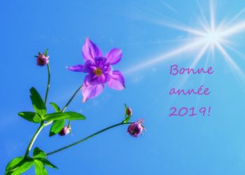 Meilleurs voeux 2019!