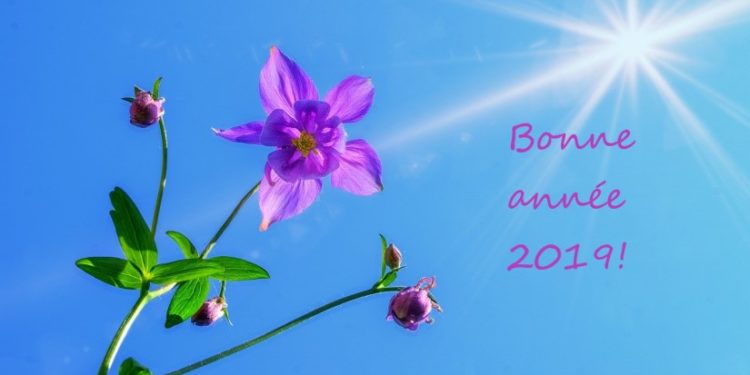 Meilleurs voeux 2019!