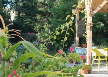 Ginkgo, villa éthique et responsable en plein coeur de Marseille