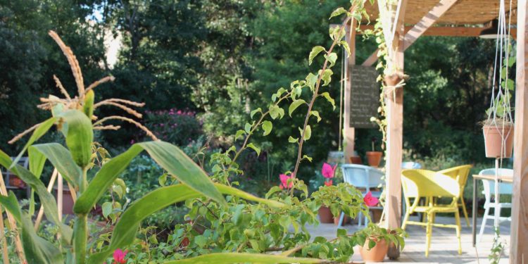 Ginkgo, villa éthique et responsable en plein coeur de Marseille