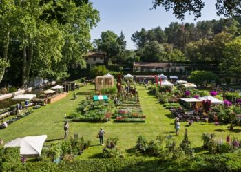 Journée des planes (et fleurs) aux jardins d'Albertas (crédit DR archives)