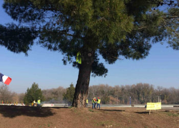 Nadia, l’épaisseur de la douleur et de la dignité