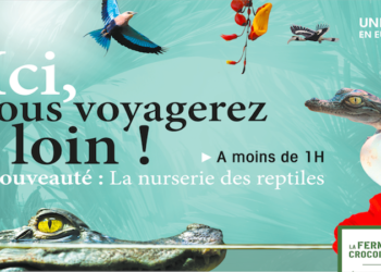 L’agence Yolipop modernise l’image de la ferme aux crocodiles