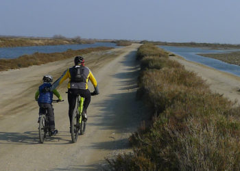 Le vélotourisme dans le parc naturel de Camargue (Photo JFE/Gomet')