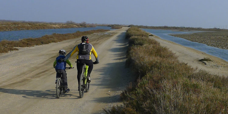 Le vélotourisme dans le parc naturel de Camargue (Photo JFE/Gomet')