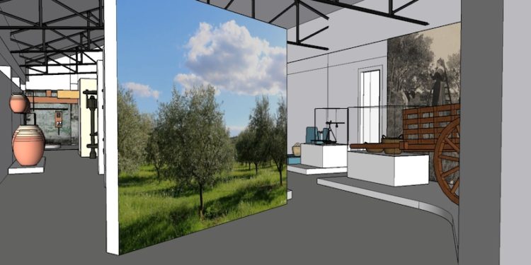 Le musée de l’huile d’olive, élément d’un marketing original