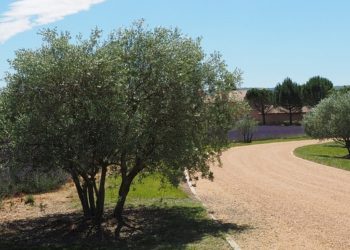 Programme européen Marittimo : un soutien au tourisme durable dans la région Provence Alpes Côte d’Azur