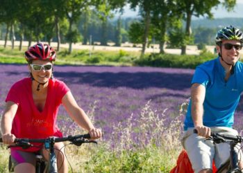 [Transports] ViaRhôna : une enquête pour cerner l’impact d’une vélo route